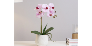 Phalaenopsis Potted 15 Faux Single Stem Orchid - Pink (4)