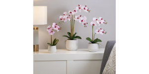 Phalaenopsis Potted 15 Faux Single Stem Orchid - Pink (5)