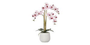 Phalaenopsis Potted 23 Faux Triple Stem Orchid - Pink (1)