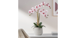 Phalaenopsis Potted 23 Faux Triple Stem Orchid - Pink (2)