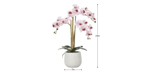 Phalaenopsis Potted 23 Faux Triple Stem Orchid - Pink (3)