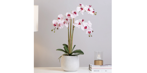 Phalaenopsis Potted 23″ Faux Triple Stem Orchid – Pink