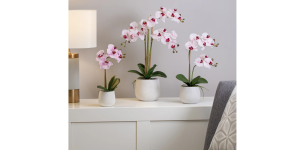 Phalaenopsis Potted 23 Faux Triple Stem Orchid - Pink (5)