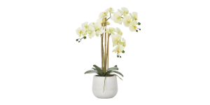 Phalaenopsis Potted 23″ Faux Triple Stem Orchid -Yellow