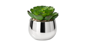 Silver Ball Potted Faux Succulent – Echeveria