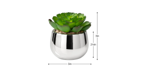 Silver Ball Potted Faux Succulent - Echeveria (4)