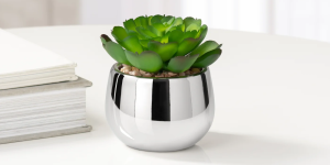 Silver Ball Potted Faux Succulent – Echeveria