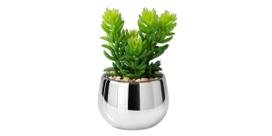 Silver Ball Potted Faux Succulent - Jellybean (1)