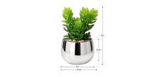 Silver Ball Potted Faux Succulent – Jellybean