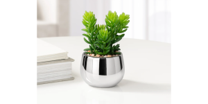 Silver Ball Potted Faux Succulent – Jellybean