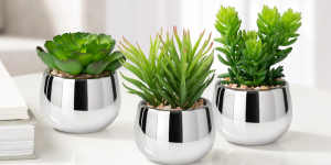 Silver Ball Potted Faux Succulent – Jellybean