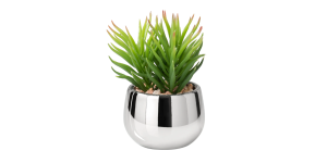 Silver Ball Potted Faux Succulent - Spike (1)