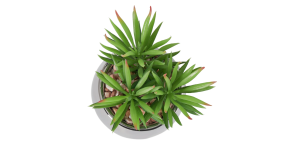 Silver Ball Potted Faux Succulent – Spike