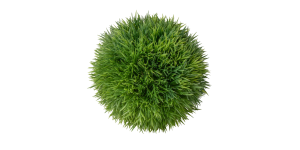 Spike Grass Ball 7″