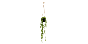 String Of Pearls Succulent Hanging Faux Potted Plant with String Hanger (1)