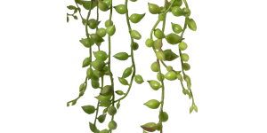 String Of Pearls Succulent Hanging Faux Potted Plant with String Hanger (3)