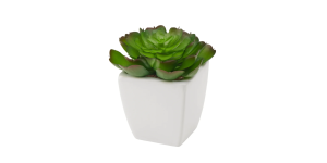 Tapered Mini Faux Succulent Potted Plant – Echeveria