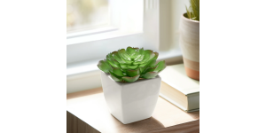 Tapered Mini Faux Succulent Potted Plant - Echeveria (2)