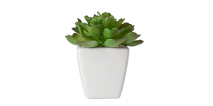 Tapered Mini Faux Succulent Potted Plant – Echeveria