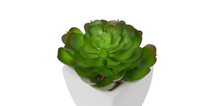 Tapered Mini Faux Succulent Potted Plant - Echeveria (4)