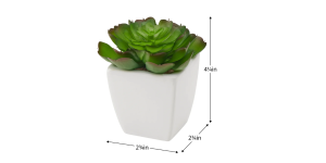 Tapered Mini Faux Succulent Potted Plant – Echeveria