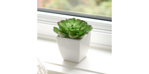 Tapered Mini Faux Succulent Potted Plant - Echeveria (7)