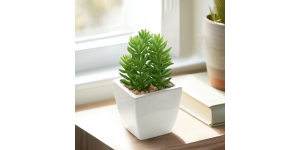 Tapered Mini Faux Succulent Potted Plant - Jellybean (2)