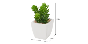 Tapered Mini Faux Succulent Potted Plant – Jellybean