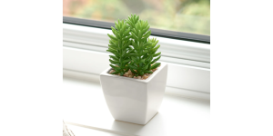 Tapered Mini Faux Succulent Potted Plant – Jellybean