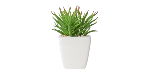 Tapered Mini Faux Succulent Potted Plant - Spike (3)