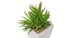 Tapered Mini Faux Succulent Potted Plant - Spike (4)