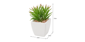 Tapered Mini Faux Succulent Potted Plant - Spike (5)