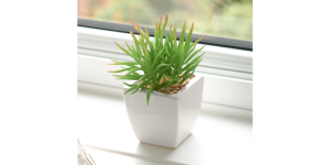 Tapered Mini Faux Succulent Potted Plant – Spike