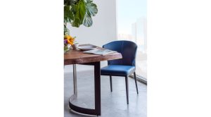 Delaney Dining Chair-Sky Blue