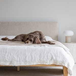 Luna Tool-free King Bed_1